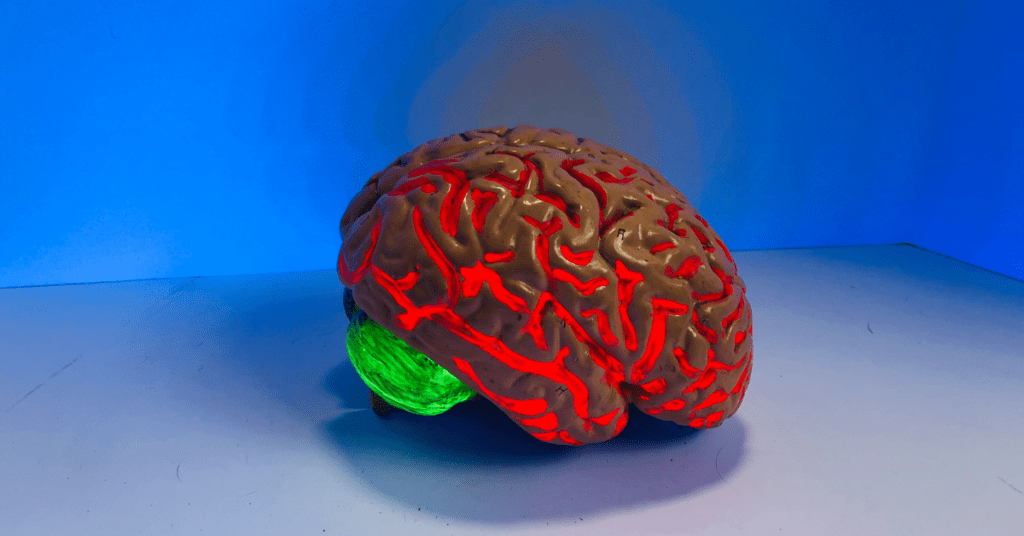 Fluorescent brain