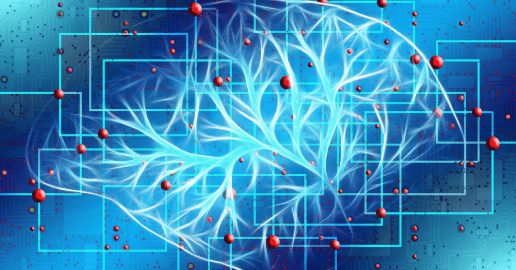 Brain network and neurons