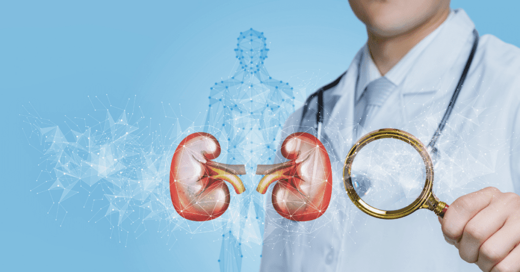 Man holding a magnifying glass looking at the kidneys
