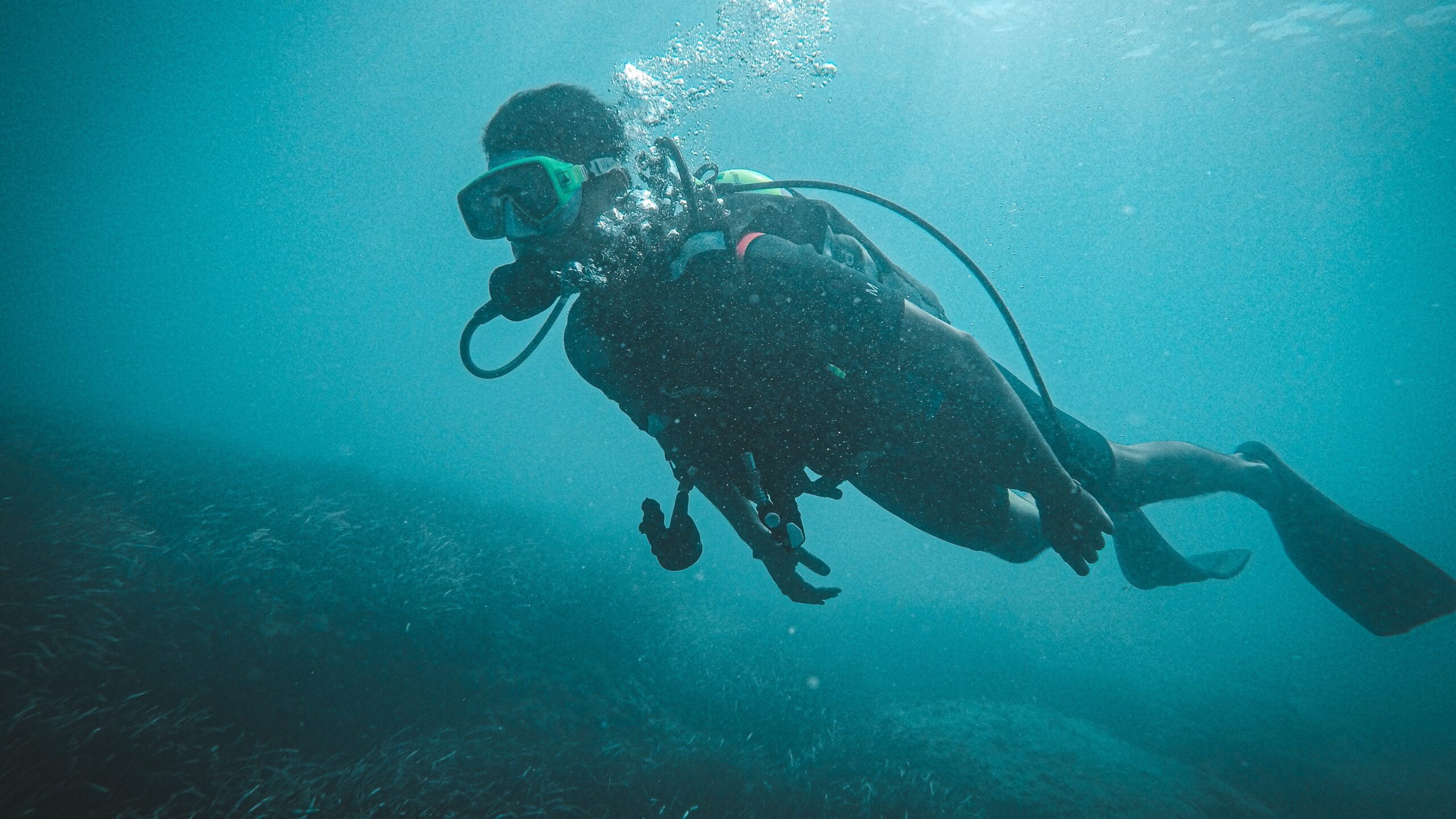 ESPECIE INVITADA: La nacra «Pinna nobilis ESPECIE INVITADA: La nacra «Pinna nobilis