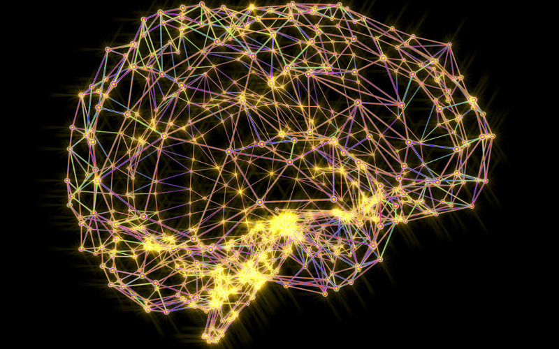Diagram of neural networks of the brain