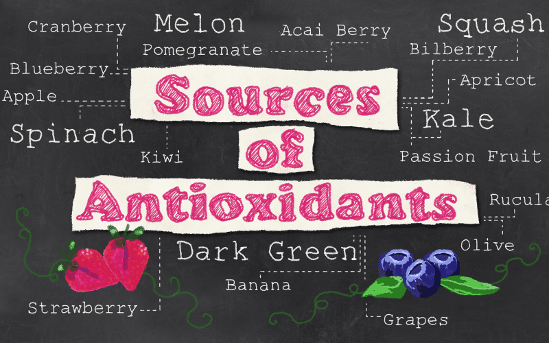 Diagram showing different sources of antioxidants