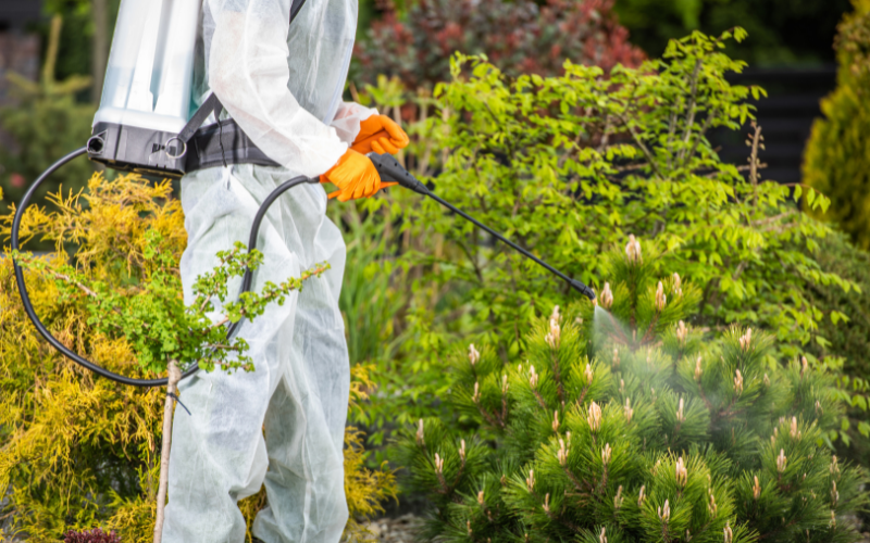 Man wearing protective gear spraying pesticides